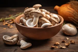 新鲜采摘的蘑菇蔬菜摄影图