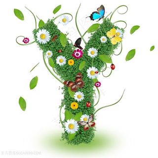精美植物花朵字母Y设计高清图