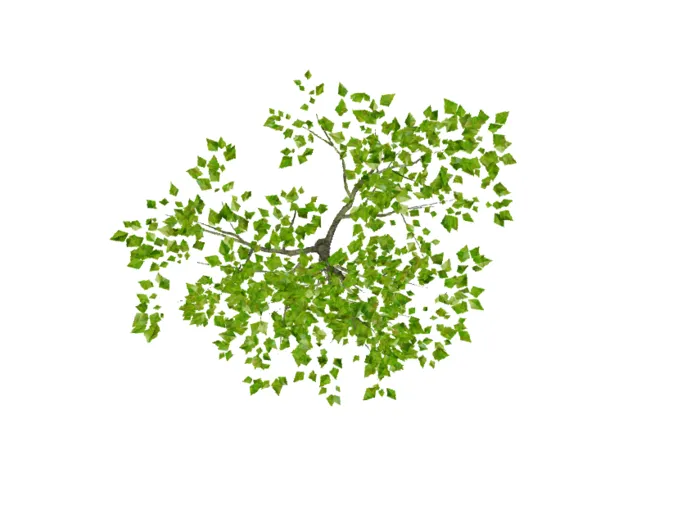 植树节树木素材矢量绿色抠图海报cdr矢量模版下载