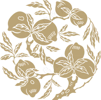 中国风传统吉祥寓意图案古代喜庆祥瑞纹样纹饰PNG免抠