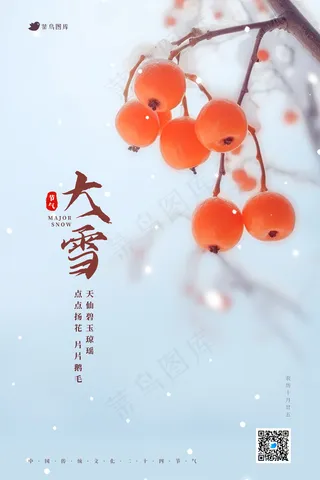 蓝色白色橙色写实大雪24节气海报
