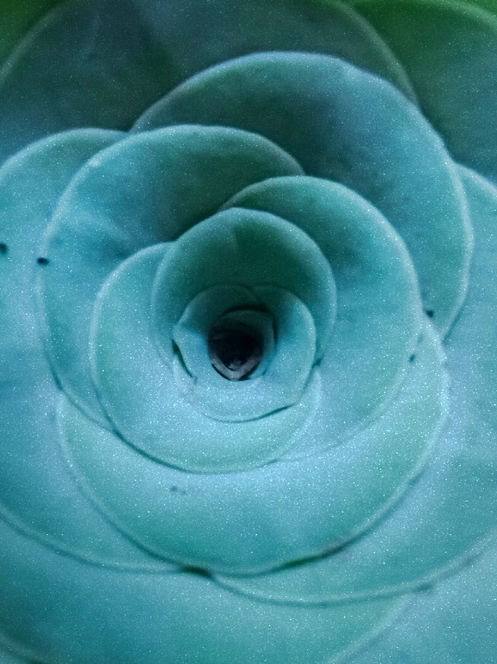 质感花卉海报背景图片