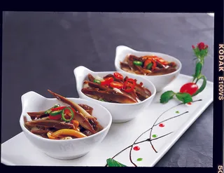 LCH2740珍菌素辽参