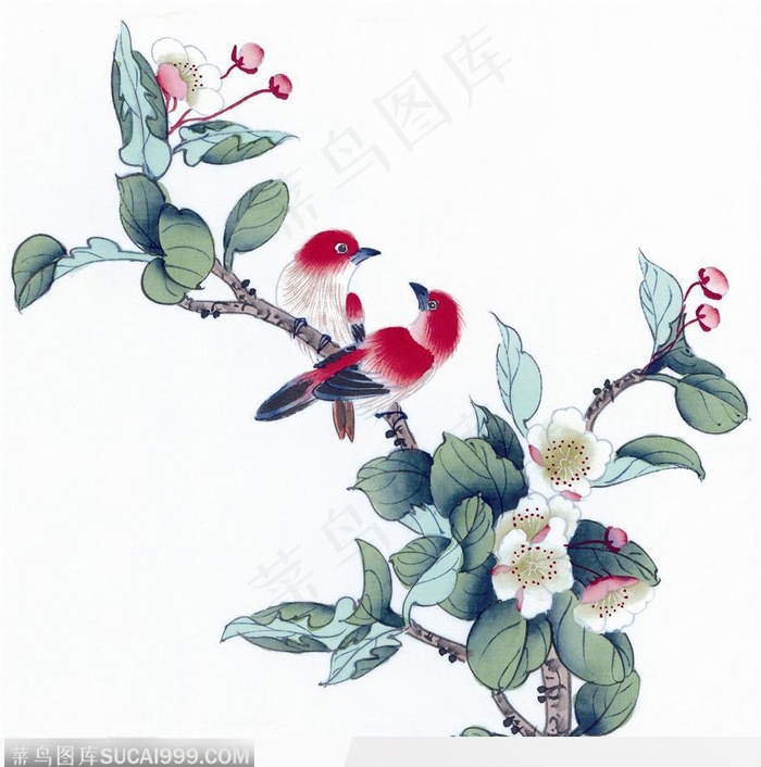 工笔画樱花