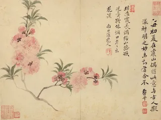 新中式书法花枝文字玄关