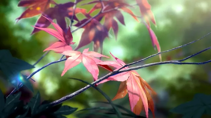 4K高清壁纸