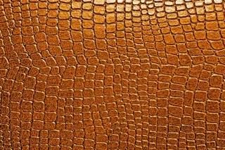 精美蛇皮纹理背景高清素材图片