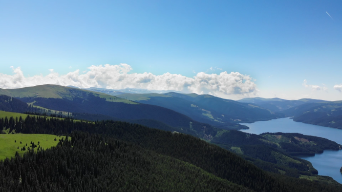 山湖,树木风景图