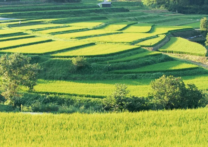 乡村田园 127