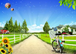 现代绿草小路风景