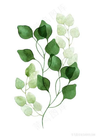 唯美水彩绿叶时尚插画