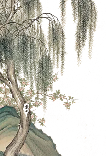 春天绿色春季水墨柳树柳条柳叶春季海报设计PNG免扣素材 春天绿色春季水墨柳树柳条柳叶春季海报设计PNG免扣素材