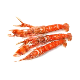 虾类(19)海鲜超市商品红酒白底图免抠实物摄影png格式图片透明底