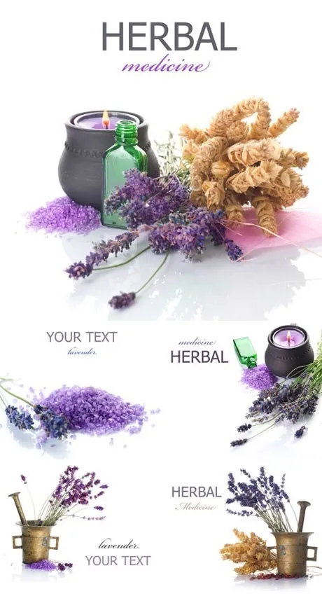 香薰植物精油图片素材