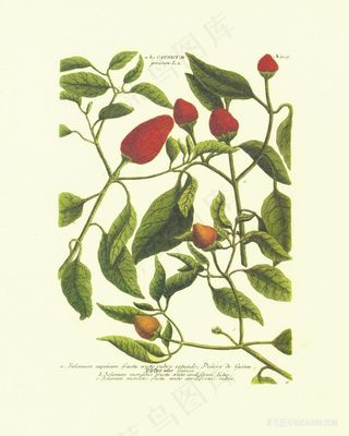 花束树枝艺术油画