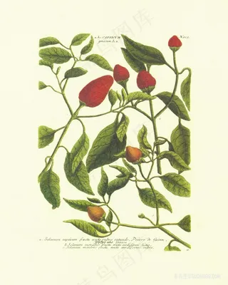 花束树枝艺术油画