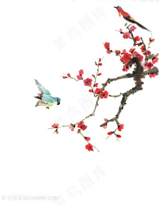 梅花小鸟插画图片
