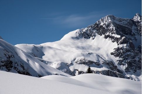 冬天白雪背景风景