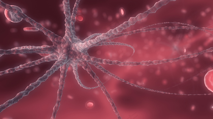 丰收在望 秋草枯黄