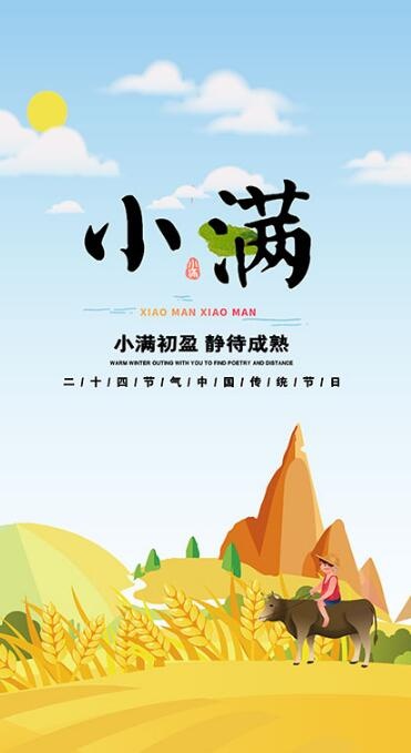 24节气小满海报psd模版下载