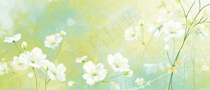 清新白色小花野花野草春天萌芽手绘，春分(1680x720)