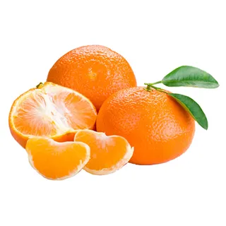 免抠橘子实物摄影图片