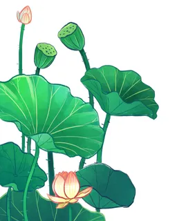 国潮中国风手绘荷花莲花荷叶莲藕植物花卉装饰插画PSD设计素材 国潮中国风手绘荷花莲花荷叶莲藕植物花卉装饰插画PSD设计素材