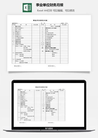 事业单位财务月报excel模板