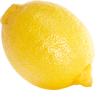 柠檬水果切面素材