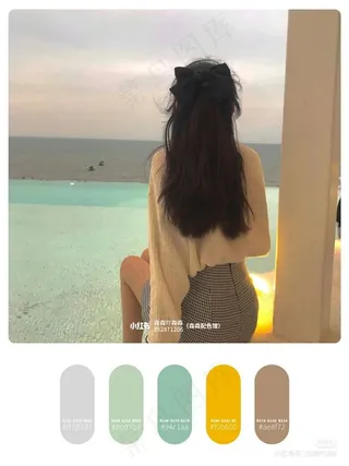 高质量插画配色色卡