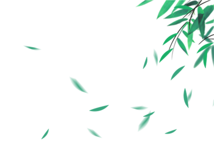 竹叶树叶飘落免抠