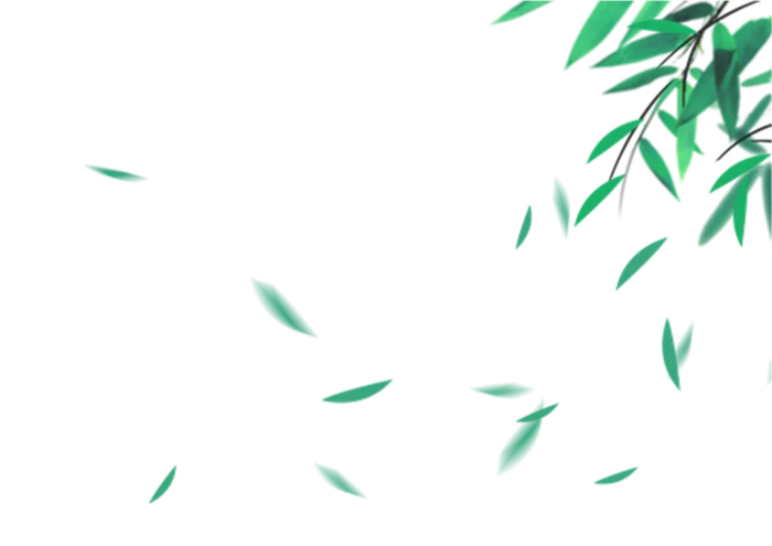 竹叶树叶飘落免抠