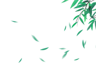 竹叶树叶飘落免抠