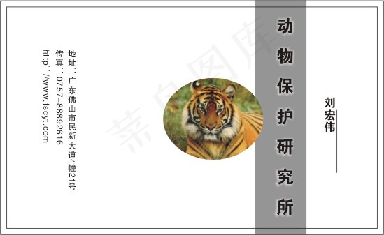 个人简单名片cdr矢量模版下载
