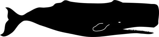 黑色抹香鲸 PNG免抠(2400x564)