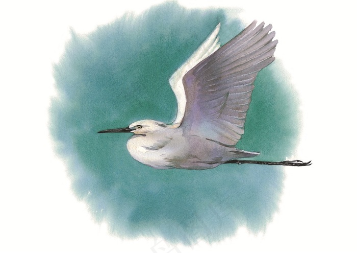 飞翔的彩绘仙鹤素材