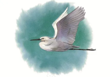 飞翔的彩绘仙鹤素材