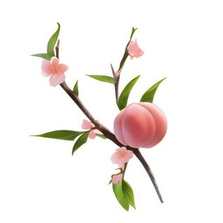 桃花水蜜桃免抠