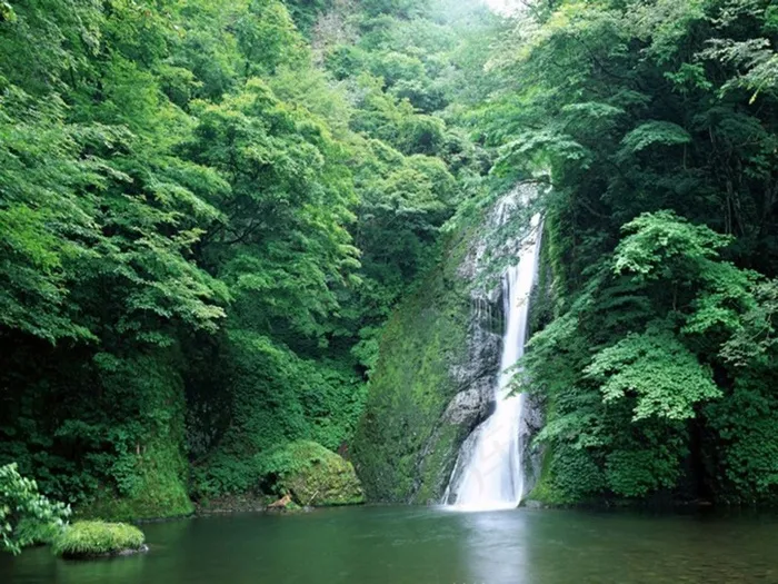 山体上流进水潭的瀑布