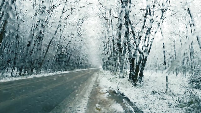 雪, 冬天, 景观, 自然, 山, 路, 植物, 气氛