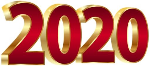2020 年 PNG免抠(600x267)