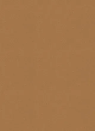 中国风底纹背景再生纸纹理素材棕色