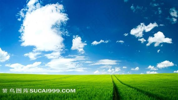 蓝天白云的草地原野