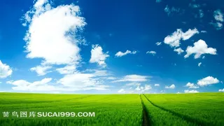 蓝天白云的草地原野