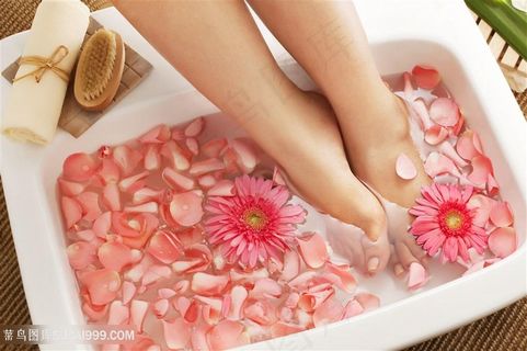 洗花瓣浴的美女高清图片