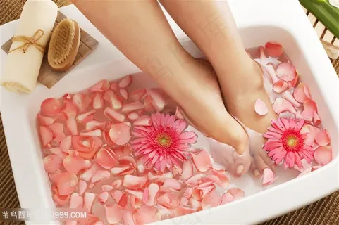 洗花瓣浴的美女高清图片