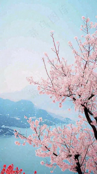 春天山河边蓝天粉色樱花花朵，惊蛰立春