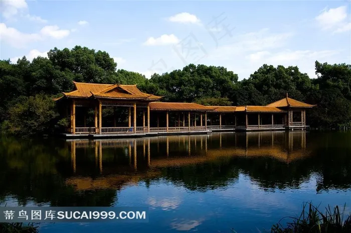 美丽的西湖美景