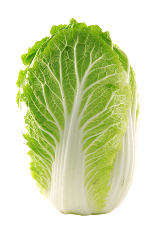 大白菜 (7)超市商品白底图免抠实物摄影png格式图片透明底