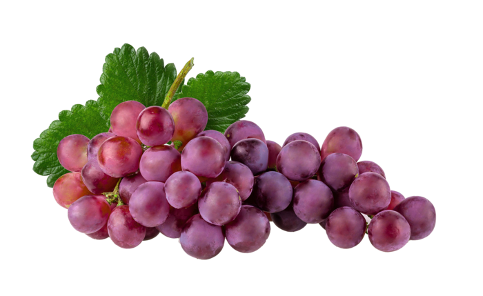 提子 (8)水果超市商品白底图免抠实物摄影png格式图片透明底